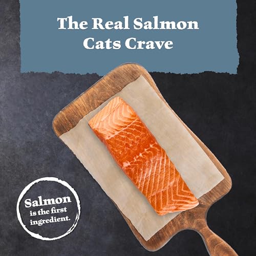 Image of Blue Buffalo Wilderness High Protein Grain Free Dry Food for Adult Cats, 40% Protein, with Salmon, 15 lb. Bag