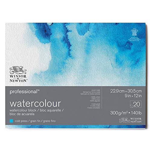 Winsor & Newton Professional Watercolor Paper Block 9 x 12 Cold Pressed