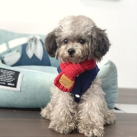 犬用ネックウォーマー ネーム 頭文字ラフ 入セーター Samsatbatamcentre Kepriprov Go Id