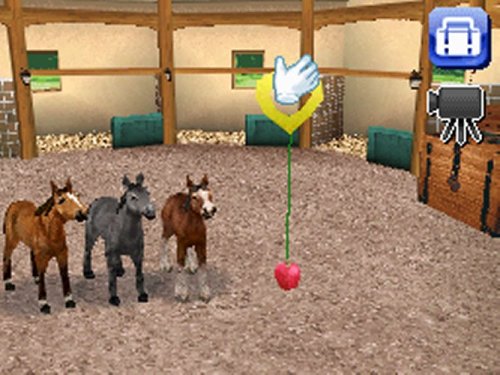 Petz Horseshoe Ranch - Nintendo Ds #TOP1