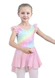 Kids Girls Classic Ruffle Sleeve Tutu kirted Leotard Dress for Dance, Gymnastics and Ballet