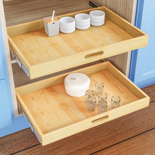 Pull Out Cabinet Organizer