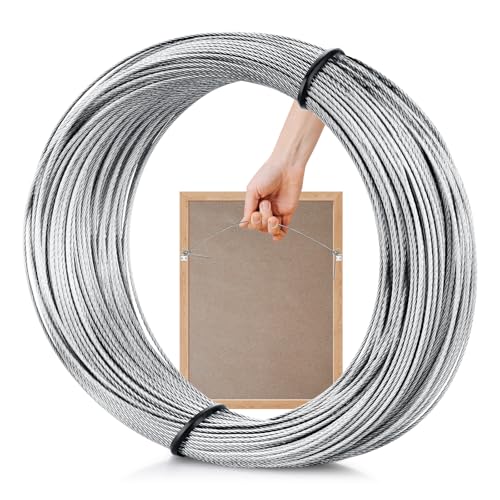 Taocar Picture Hanging Wire 100-Feet Hanging Wire Heavy Stainless Steel line Rope for Photo Frame Picture Holiday Decor Crafts Artwork Mirror Hangings Supports Up to 30lbs