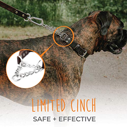 Mighty Paw Martingale Dog Collar - No Pull Design - Stainless Steel Chain - Limited Chain Cinch Training - Brown Leather Martingale Training Collar - Large Size - Image 3