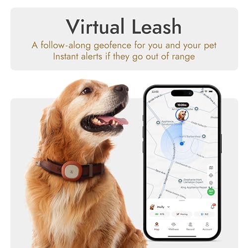 Image of Molly&Cody GPS + Bluetooth Pet Tracker for Cats & Dogs - Real‑Time Tracking, Virtual Fence, IP67 Waterproof, Up to 60‑Day Battery, Health Monitoring, iOS /Android - Subscription Required (Gold)