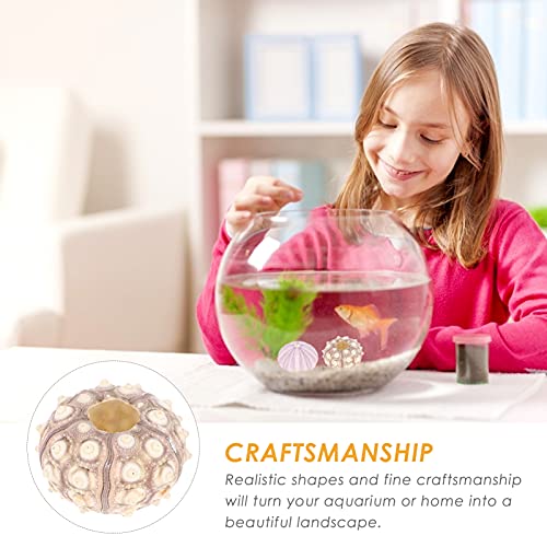 Happyyami 6Pcs Air Planten Houders Mini Zee- Egel Shell Pot Zee- Egel Schelpen Ambachtelijke En Decor - Image 4