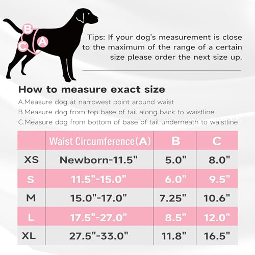 Image of Paw Legend Washable Reusable Female Dog Period Diapers for Heat Doggie Puppy Diapers for Female Dogs (3 Pack, Leopard, Small)