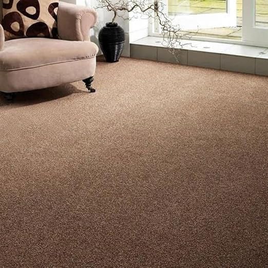 Carpet Mat for Marriage Ceremony, Award Function, Hotel, Office, School & Colleges & Any Function Event and Carpets for Livin Room with Anti Slip Backing Rug Size 10 x 20 Feet-image-37