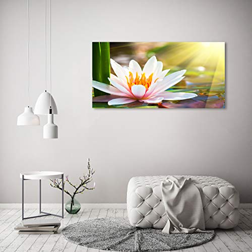 Impression sur verre 120x60 cm nénuphar multicolore fleurs