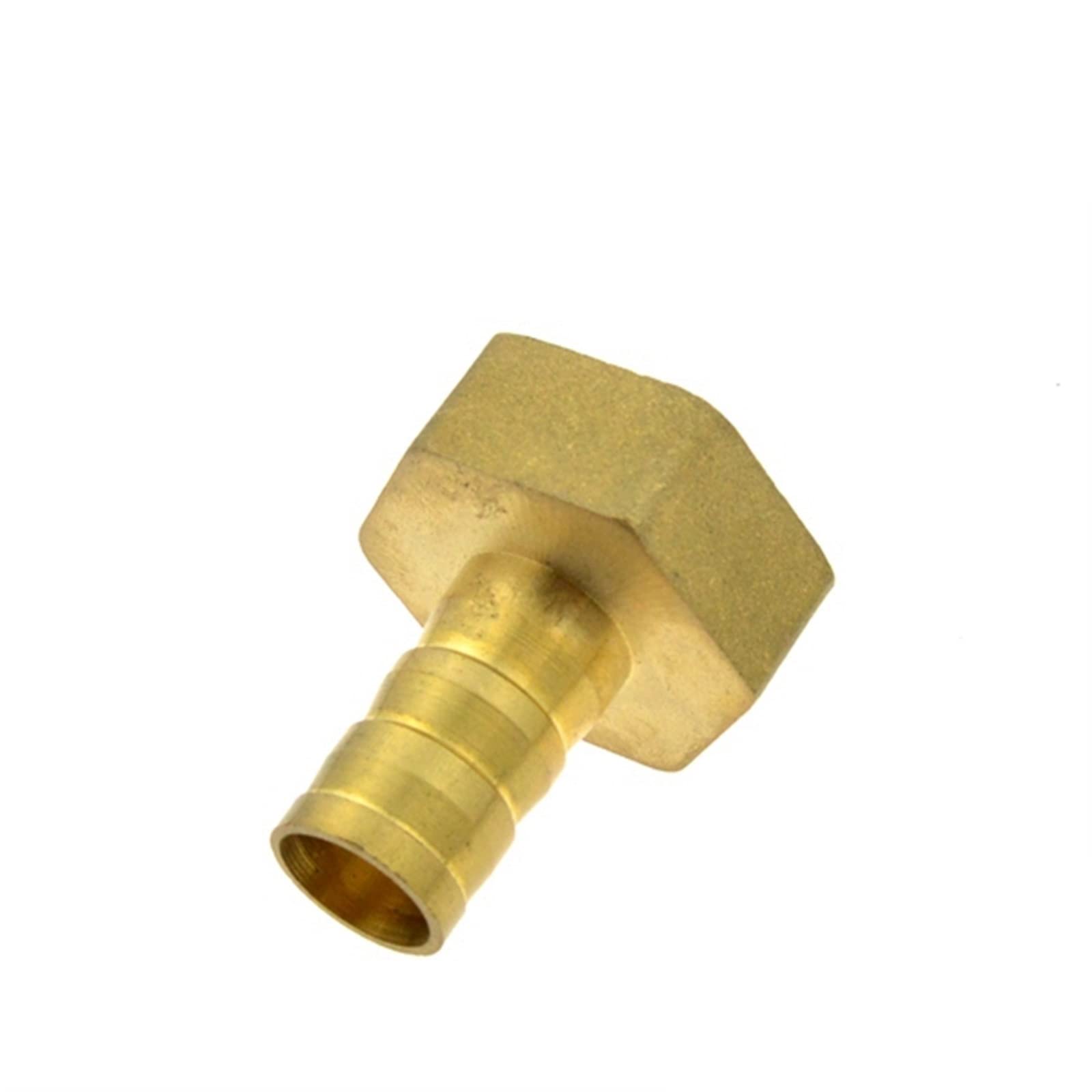 Conector de lengüeta de latón DN25 con rosca hembra de 1 pulgada BSP y espiga de 16mm para mangueras