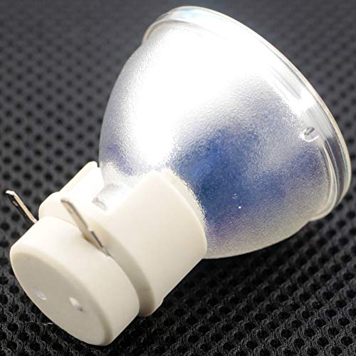 SUNLAPS EST-P1-LAMP / 2002547-001 Lampada