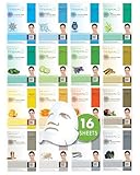 Dermal Korea Collagen Essence Full Face Facial Mask Sheet, 16 Combo Pack