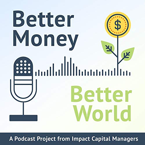 Better Money Better World cover art