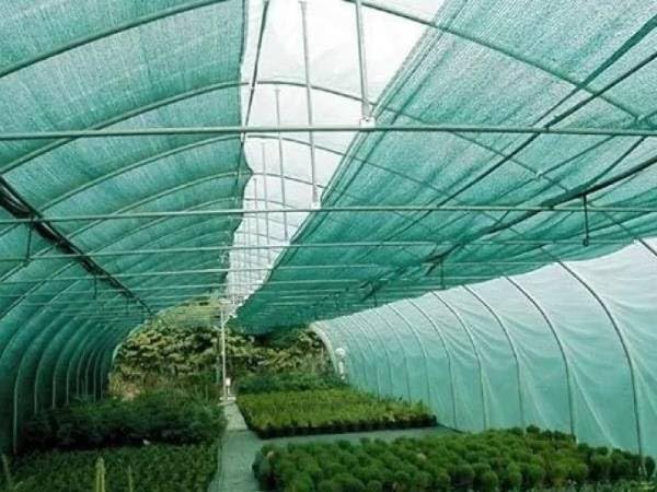Image of Green Shade Net, 50% UV Sun Protection, HDPE Warp Knitted Fabric, Multi-Purpose Agro Netting for Terrace, Garden, Greenhouse, Balcony, Wind Break Screen (5x60 feet)