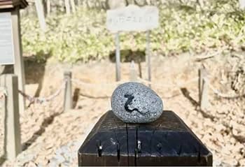 虻田神社♡北海道　洞爺　白蛇　最強パワースポット　龍の道　御朱印帳　火水　鳳凰 Amazon | 虻田神社北海道 洞爺 白蛇 最強パワースポット 龍の道 御朱印
