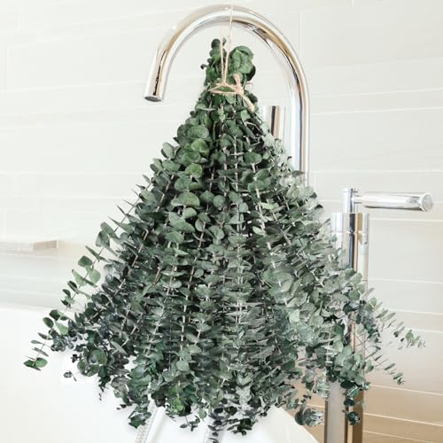 Dried Eucalyptus for Shower Hanging - 17'' Real Large Preserved
