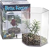 Lee's Betta Keeper with Lid, Gravel and Plant - Small
