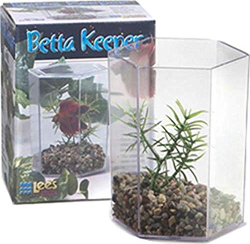 Lee's Betta Keeper with Lid, Gravel and Plant - Small