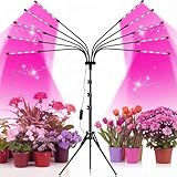 mychoiii Grow Lights for Indoor Plants,10 Heads Red Blue White Full Spectrum Plant Light with 15-60" Adjustable Tripod Stand,Adjustable Gooseneck, Indoor Grow Lamp with 4/8/12H Timer Function