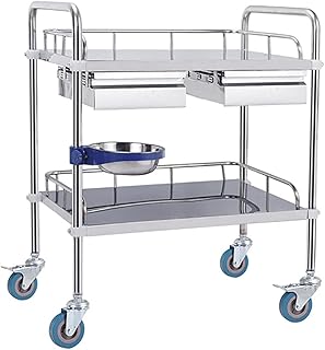 2/3 Layers Stainless Steel Utility Carts with Two Drawers with Silent Omnidirectional Lockable Wheels for Laboratory, Hospital, Dental, Restaurant Hotel and Home Use Medium doubledrawer