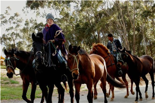 Beware of Mr. Baker (OmU)