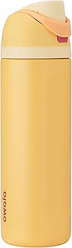 Owala Disney Princess FreeSip Insulated Stainless Steel Water Bottle with Straw for Sports and Travel, BPA-Free Sports Water