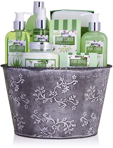 BRUBAKER Cosmetics Bad en Douche Set Aloe Vera - 9-delige Geschenkset in Vintage Planter - Image 3