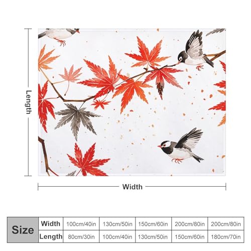 Couverture micro polaire pour des soirées cocooning au salon - 3