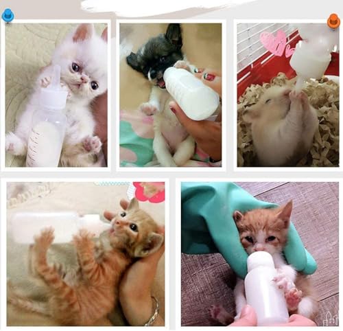 Image of Pets Empire 120ml Portable Feeding Bottle for Pet, Silicone Transparent Nipple lk Bottle for Newborn Kittens Puppies (Color May Vary)