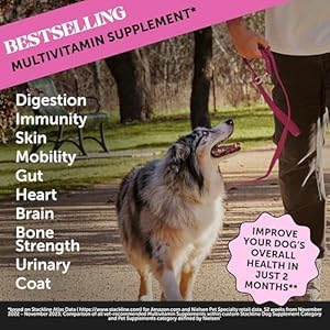 Pet-Honesty-Multivitamin-Dog-Supplement-Glucosamine-chondroitin-for-dogs-Probiotics-Omega-Fish-oil-dog-supplements-vitamins-dog-vitamins-for-skin-and-coat-allergies-Peanut-Butter-90-ct - Cucciolini Doodles   Pet-Honesty-Multivitamin-Dog-Supplement-Glucosamine-chondroitin-for-dogs-Probiotics-Omega-Fish-oil-dog-supplements-vitamins-dog-vitamins-for-skin-and-coat-allergies-Peanut-Butter-90-ct