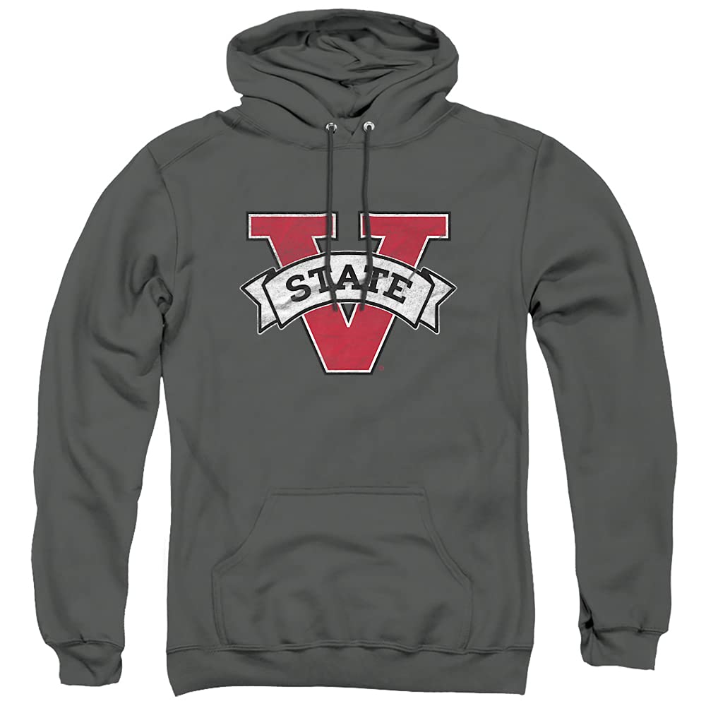 LOGOVISION Official Collegiate Distressed Primary Logo Adult Pullover Hoodie Collection — view 83