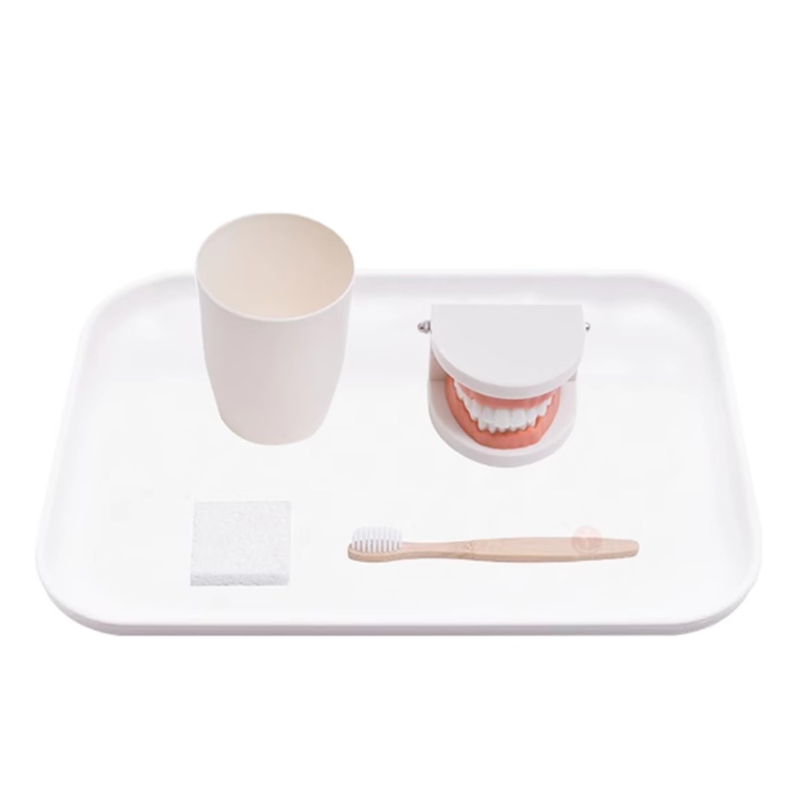 YRQMGSF Children's Toothbrushing Training Model Baby Toothbrushing Learning Dental Model for Demonstration Teaching Studying,Flesh,8CM