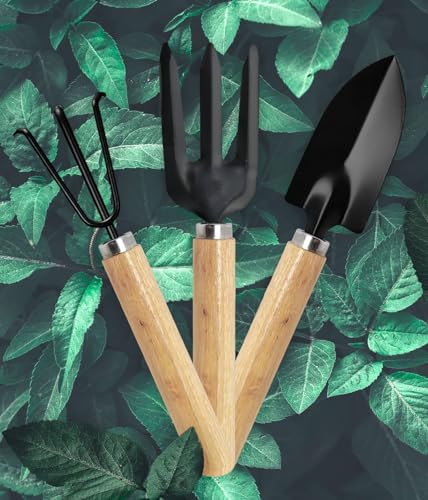 Image of GLUN Gardening Hand Tools, Wooden Handle with 3 Different Tools Metal Hand Cultivator, Transplanter and Hand Fork for Home Gardening