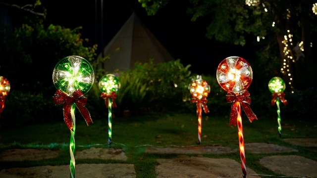 Amazon.com : Retisee 10 Pack Snowflake Christmas Lights for