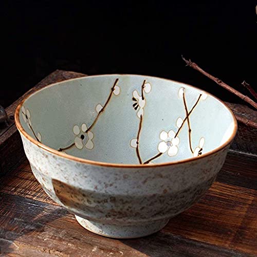 Ensemble de Bols à céréales 6.7inch Bol en céramique pour la Famille Restaurant Cuisine Salade de Fruits Soupe de Nouilles Bols à pâtes (Color : Blueberry) Cover