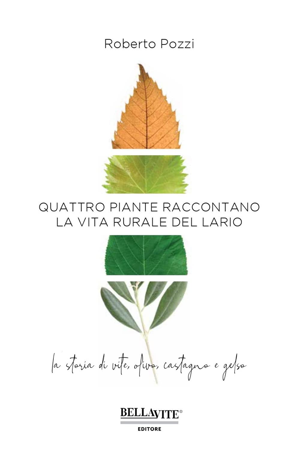 Quattro Piante Raccontano La Vita Rurale Del Lario. La Storia Di Vite, Olivo, Castagno E Gelso - 4