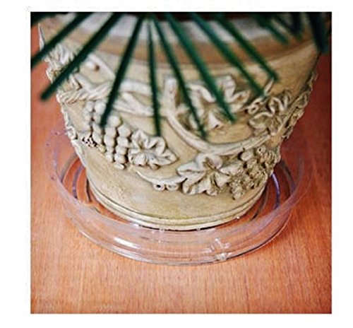 Plant Pot Saucers Clear Plastic Indoor Outdoor Garden Assorted Sizes 13-Pc Set #TOP1
