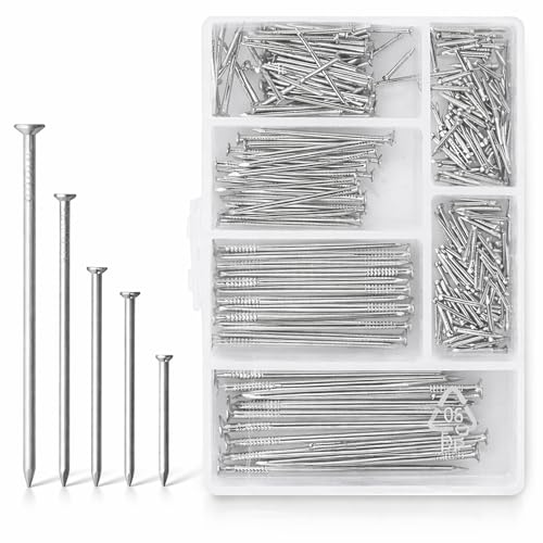 D.A.Y. Republic Flat Head Nails Set of 250 Assorted Sizes in Zinc Plated Metal for Woodwork Picture Hanging Home Improvement Construction with Storage Box Silver