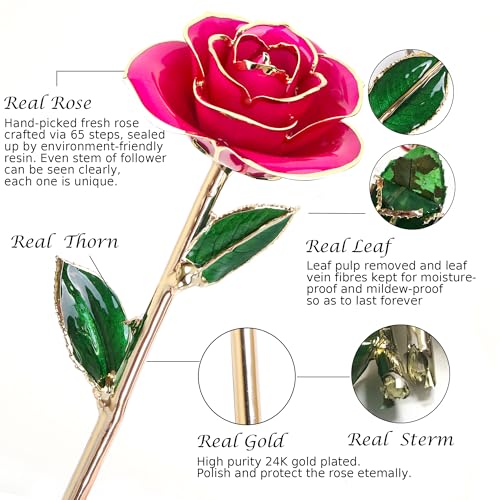 Image of Sinvitron Gold Dipped Infinity Rose - Eternal Resin-Preserved Rose | Forever Flower Decor for Birthdays, Mother's Day, Anniversaries | Unique Gift for Women, Mom, Wife (Peach Pink)