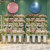 Durable et robuste : Grâce à sa conception, ce support à plantes en métal offre stabilité et robustesse, et une forte capacité de charge. Vous pouvez y placer de nombreuses fleurs en toute sécurité, sans risque de déformation ni d'endommagement. Le support est facile à assembler et ne nécessite aucun outil complexe. L'installation ne prend que quelques minutes.