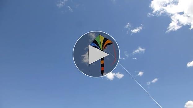 SKY-HI’sTHE BEST Amazon.com: In the Breeze Rainbow Sparkler 46 Inch Fly-Hi