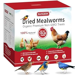 Organic Dried Mealworms 10 lb-Non GMO Meal Worms Chicken Feed Wild Bird Treats & Bird Food – Natural Mealworms for Chickens, Birds, Wild Birds, Bluebirds, Hens, Ducks, Turtles & Reptiles.
