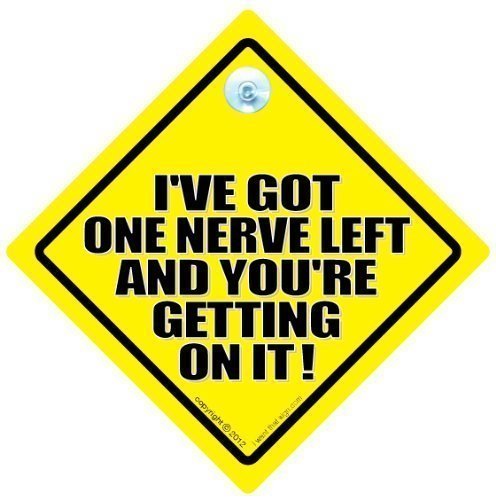 I've Got One Nerve Left And You're Getting on It, Car Sign, Bumper Sticker, Decal, Car Sign, Baby on board, Car Sticker, Road Sign, Joke Car Sign, Funny Car Sign, Car Signs