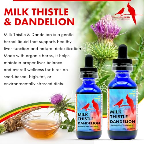Morning Bird Milk Thistle & Dandelion Extract 2 fl oz – Organic Herbal Supplement for Birds – Supports Liver Health & Natural Detox – Suitable for All Bird Species - Image 2