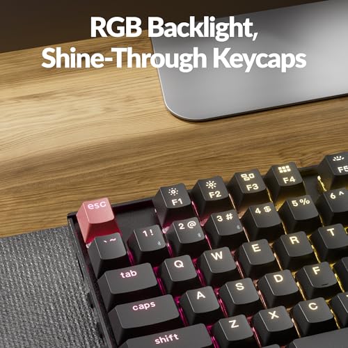 Image of Keychron K8 Version 2 TKL Wireless Mechanical Keyboard, QMK /Launcher Bluetooth 5.2 /Wired, RGB Backlit Shine-Through PBT Keycaps, Super Brown Switch for Mac Windows Linux (Hot-swappable)