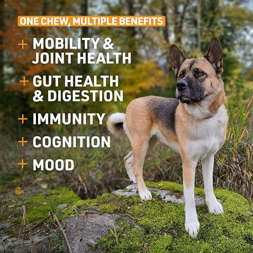 Image of Veterinary Formula Senior Support Joint Supplement for Dogs - Soft Chews, 100ct - Support Healthy Joints, Skin, Gut, and Immunity with Glucosamine for Dogs