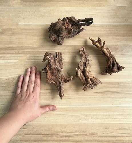 Image of YZHZOM Small Natural Driftwood for Aquarium Styling Carefully Selected Natural Aquarium Decor Driftwood for Reptile Tank Reptile Tank Wood Decor (Driftwood 6-8inch 4pcs)