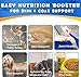 Omega-3 Fish Oil for Dogs, Omega 3 Fish Oil with EPA & DHA Supports Dogs Seasonal Allergies Relief, Boosts Immune Function, Itch Skin Relief & Skin Coat Support, Liquid Fish Oil Supplements - 250ml