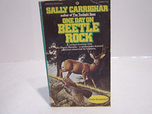 One Day on Beetle Rock B000XV49MG Book Cover