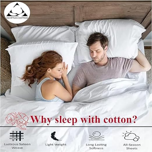 Luxurious 1 Piece Comforter Super King Plus Size (120 x 120) Inch 100% Egyptian Cotton 800 Thread Count 400 GSM Luxury Soft Quality Comforter - Burgundy Stripe